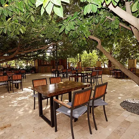 Cirali Hotel 호텔 Çıralı