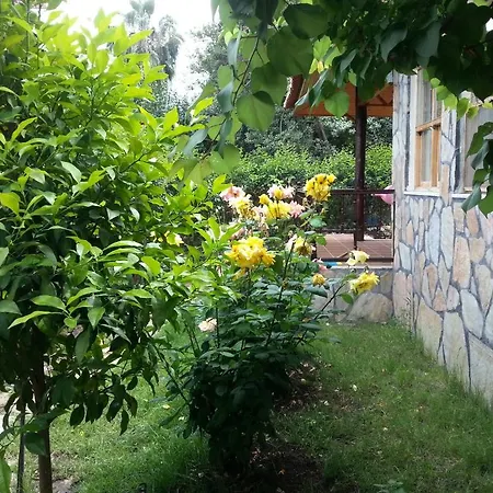 Cirali Hotel 호텔 3*