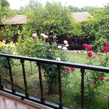 호텔 Cirali Hotel